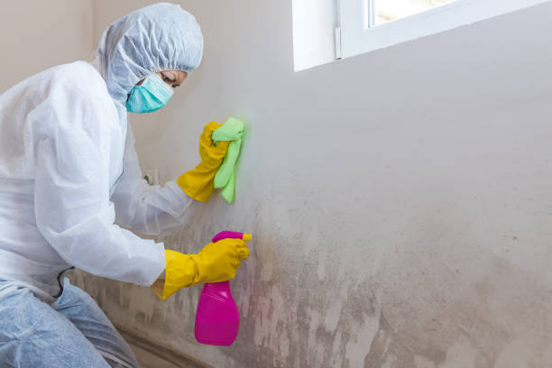 Best Forensic Mold Investigation  in Irrigon, OR